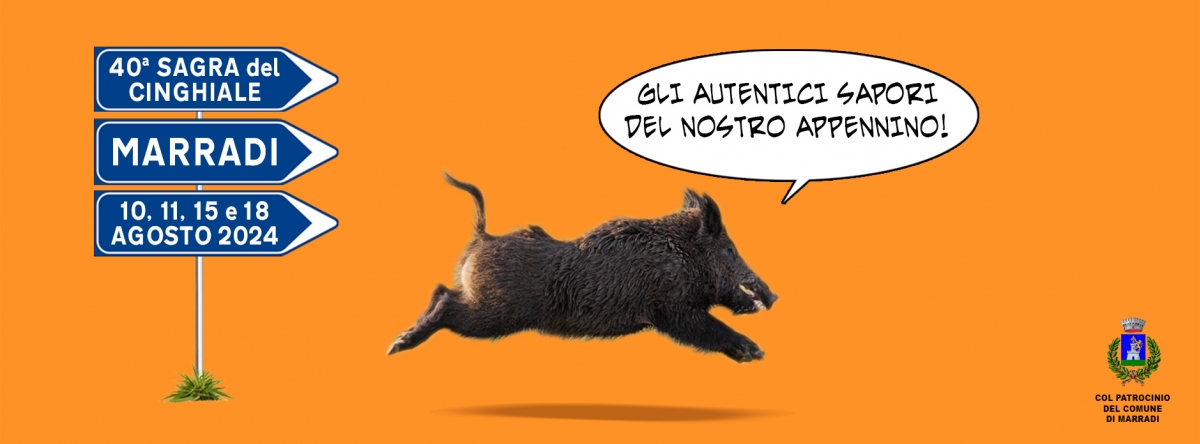 Sagra del cinghiale di Marradi 2024